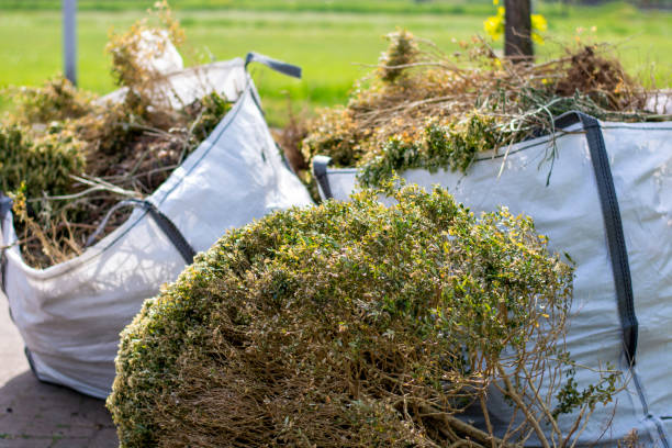 Best Appliance Removal Near Me  in Monroe, MI