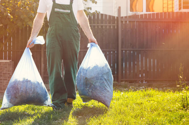 Best Residential Junk Removal  in Monroe, MI