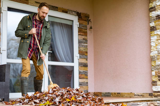 Best Affordable Junk Removal Services  in Monroe, MI